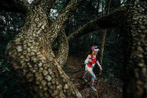 BIB: 
                            <button type="button" onclick="openModal(25700179)" class="btn btn-primary btn-sm float-right btn-popup" data-toggle="modal" data-target=".modal-high-quality">
                        <i class="fas fa-shopping-cart"></i> Add to Cart
                    </button>
                                            <button type="button" onclick="isThisMe(25700179, true)" class="btn btn-success btn-sm float-right btn-popup btn-isme hidden" data-toggle="tooltip" data-placement="bottom" title="นี่คือรูปของคุณใช่ไหม คลิกที่นี่เพื่อเอาเข้าอัลบั้ม">
                        <i class="fas fa-plus"></i> Add to album
                    </button>
                    <button type="button" onclick="isThisMe(25700179, false)" class="btn btn-warning btn-sm float-right btn-popup btn-isnotme hidden">
                        <i class="fas fa-ban"></i> Remove from album
                    </button>